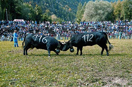 Le Valais. Suiza