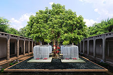 El Six Senses de Tailandia invita a explorar un sentido más.