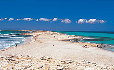 Ses Illetes (Formentera).