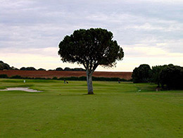 Golf en Castilla y León