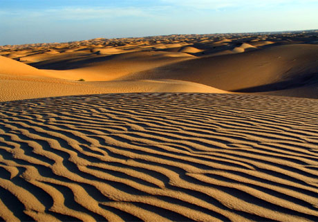 Desierto del S�hara.