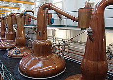 Detalle de la destiler�a GlenGrant.