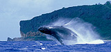 Barrera de Coral, Australia