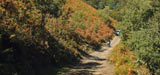 San Sebasti�n, Pa�s Vasco, Espa�a