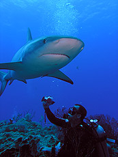 Bahamas