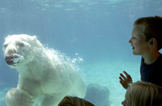 The Lincoln Park Zoo.