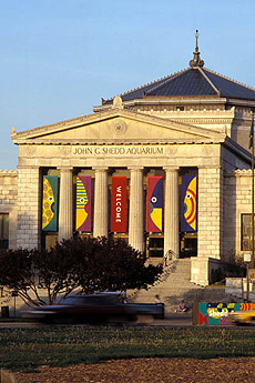 Exterior del Shedd Aquarium.