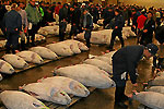 Mercado de Tsukiji, Tokio, Jap�n. Fotos de I�AKI GIL