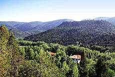 Manzanera