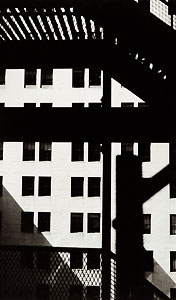 Walker Evans Archive