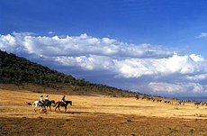 Top Ocho Kenia